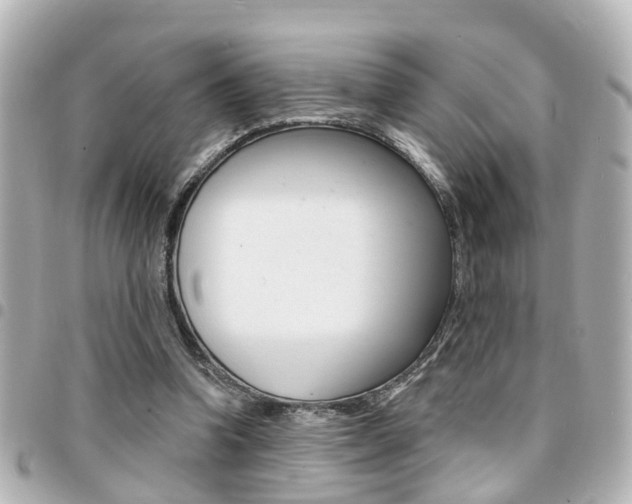 X0000094440346200711081030