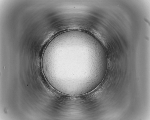 X0000094440347200711081030