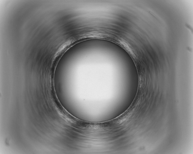 X0000094440349200711081030