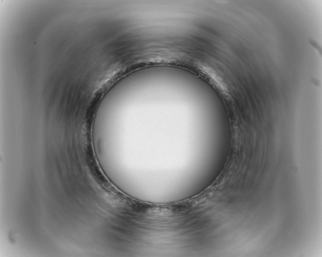 X0000094440354200711081030