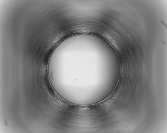 X0000094440355200711081030