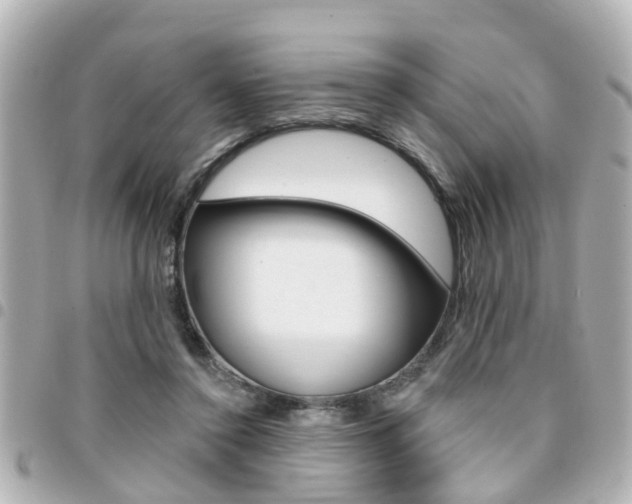 X0000094440356200711081030