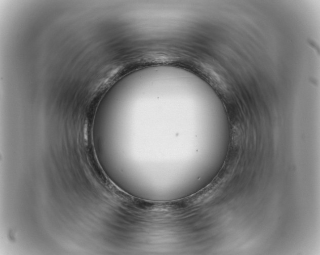 X0000094440358200711081030