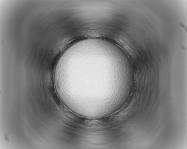 X0000094440359200711081030