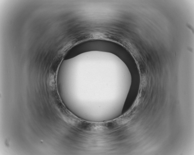 X0000094440360200711081030
