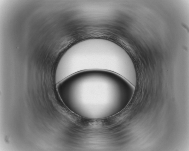 X0000094440362200711081030