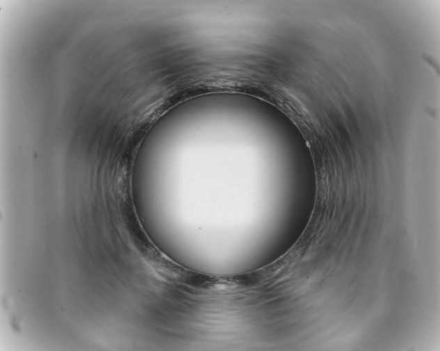 X0000094440364200711081030