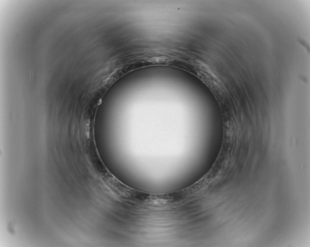 X0000094440368200711081030