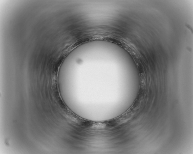 X0000094440369200711081030
