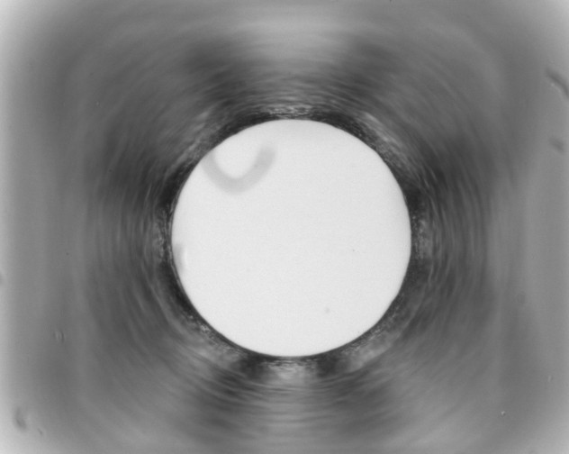 X0000094440370200711081030