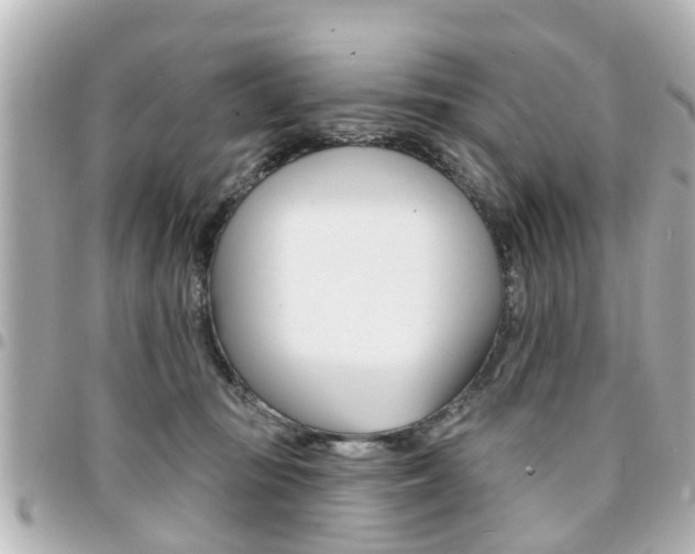 X0000094440371200711081030
