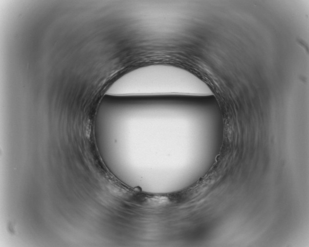 X0000094440374200711081030