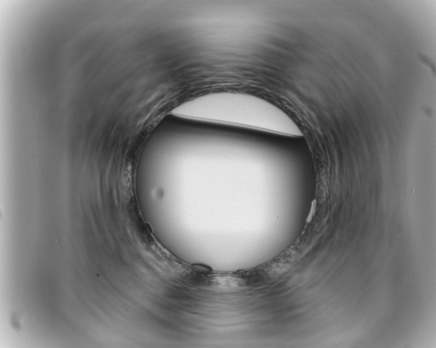 X0000094440376200711081030