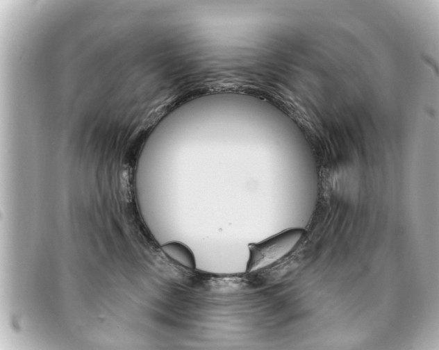 X0000094440378200711081030