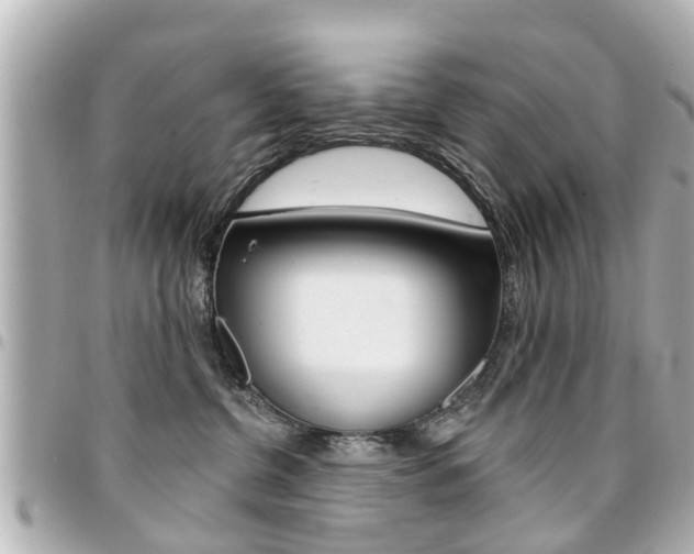 X0000094440380200711081030
