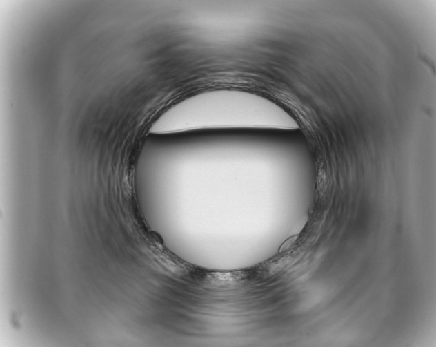 X0000094440381200711081030