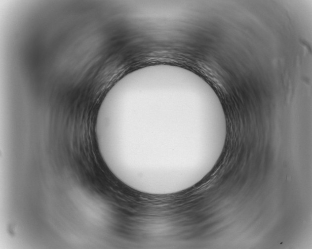 X0000094440382200711081030