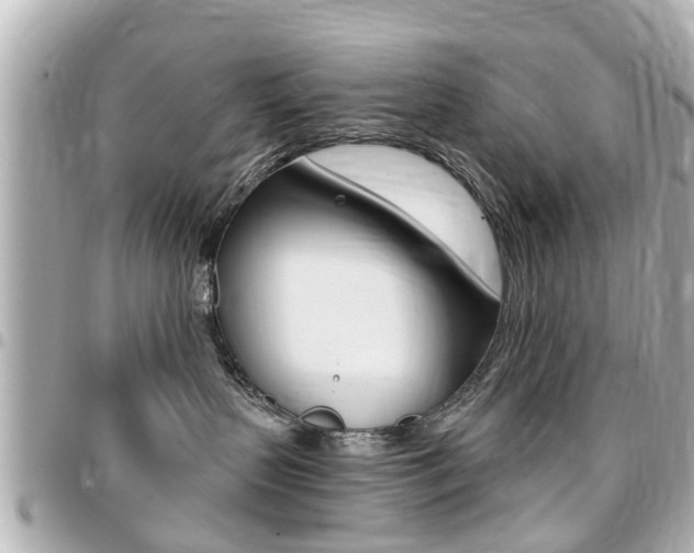 X0000094440383200711081030