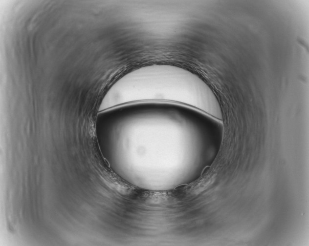 X0000094440384200711081031