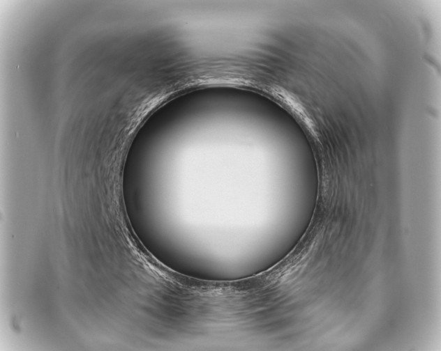 X0000094440385200711081030