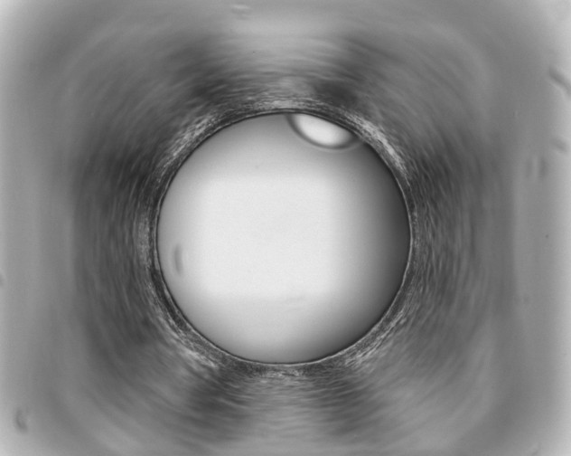 X0000094440386200711081030