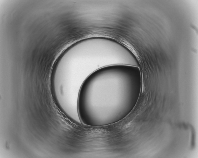 X0000094440387200711081030