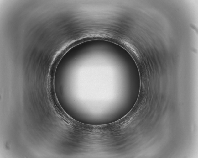 X0000094440388200711081030