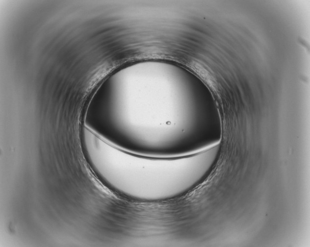 X0000094440389200711081030