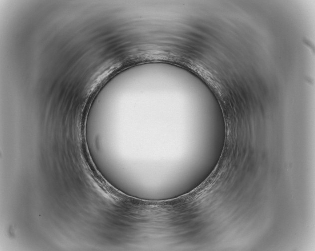 X0000094440390200711081030