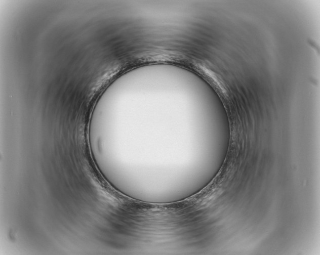X0000094440394200711081030