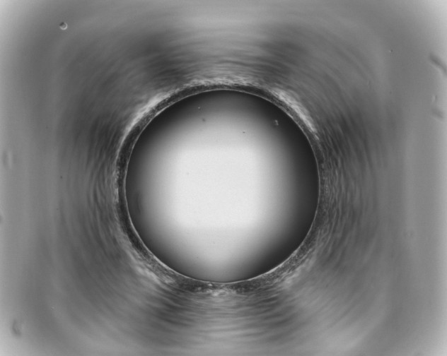 X0000094440395200711081030