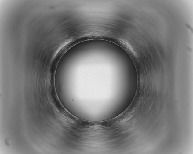 X0000094440396200711081030