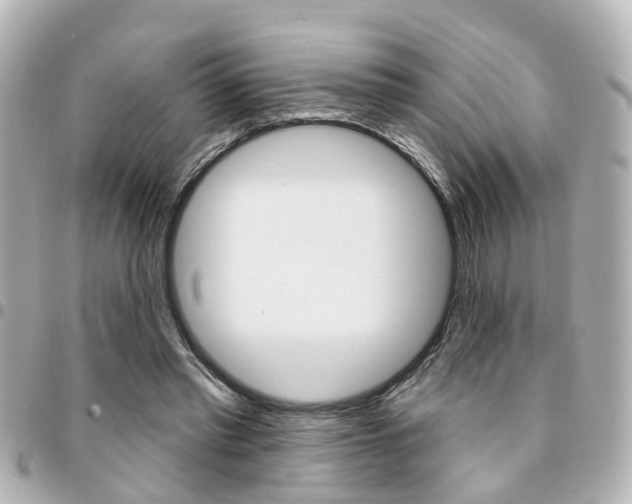 X0000094440397200711081030