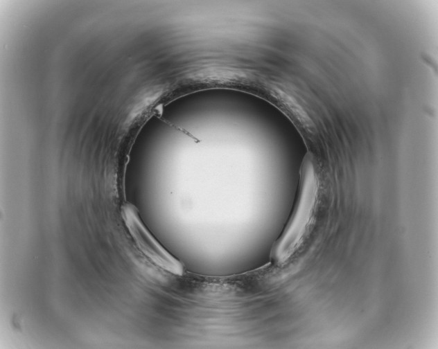 X0000094440399200711081030