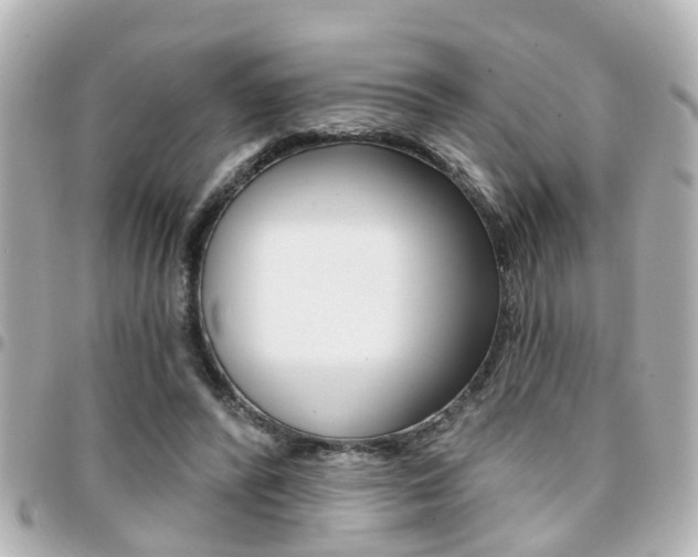 X0000094440400200711081030