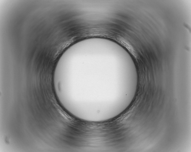 X0000094440401200711081030