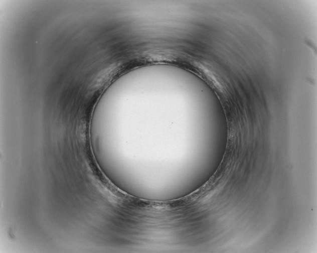 X0000094440402200711081030