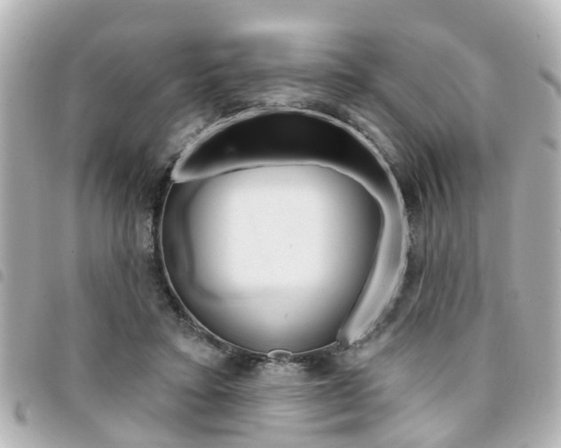 X0000094440403200711081030