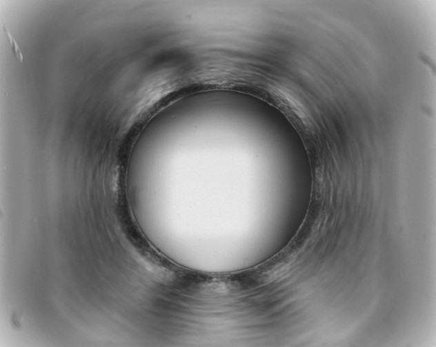 X0000094440404200711081030