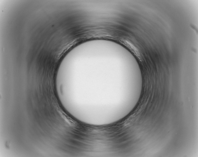 X0000094440405200711081030