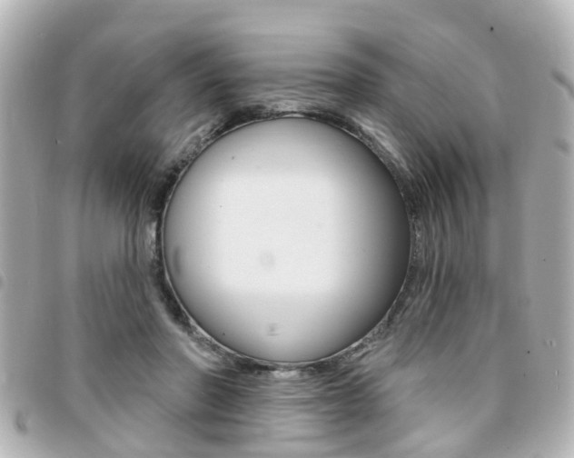 X0000094440406200711081030