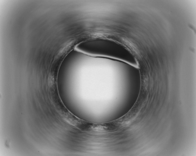 X0000094440407200711081030