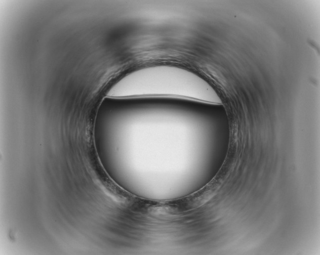X0000094440408200711081030