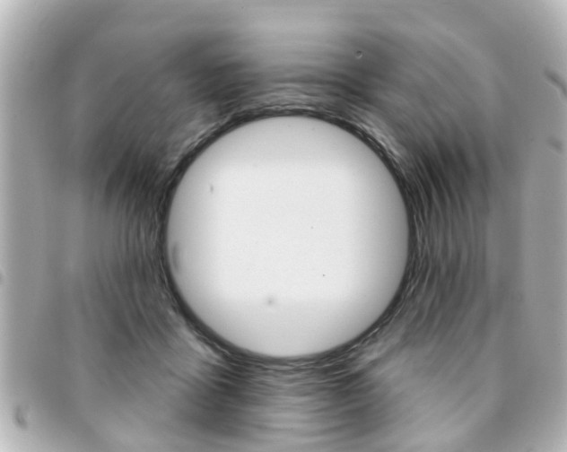 X0000094440411200711081029