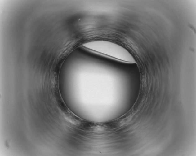 X0000094440412200711081029