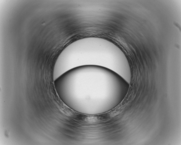 X0000094440413200711081029