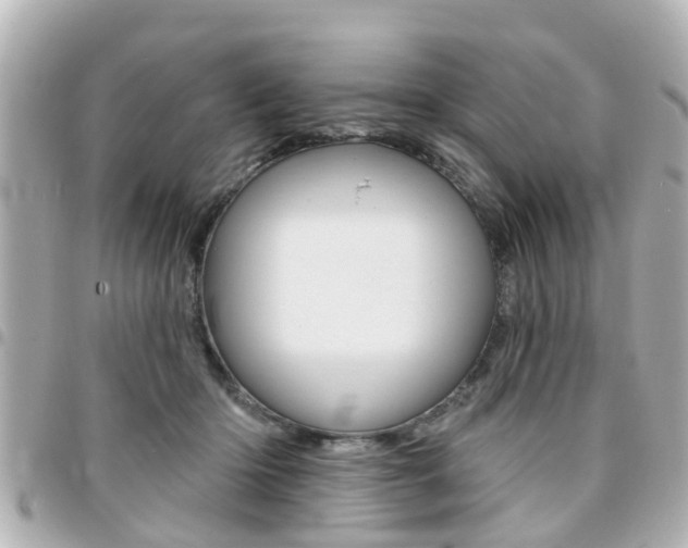 X0000094440414200711081029