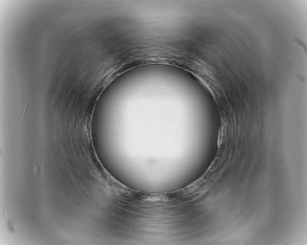 X0000094440415200711081029