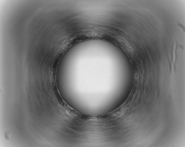 X0000094440416200711081029