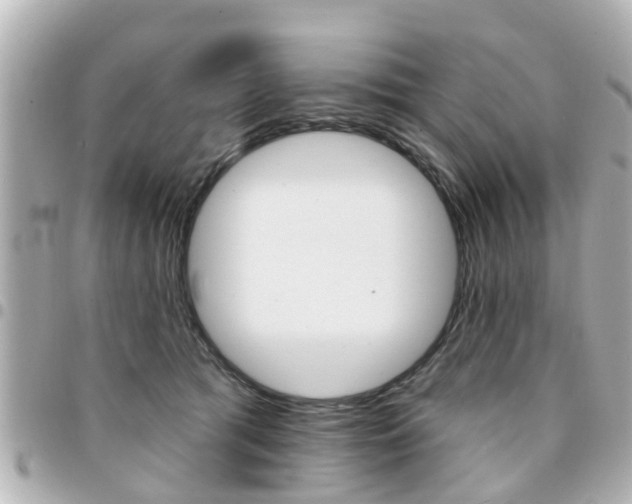 X0000094440417200711081029